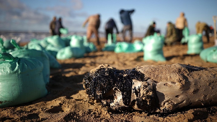 Разлив мазута в Анапе. Какие решения предлагают российские ученые